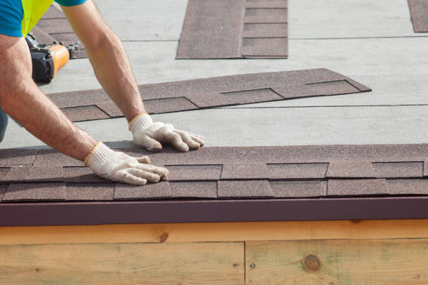 Best Asphalt Shingle Roofing  in Thatcher, UT